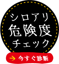 シロアリ危険度チェック　今すぐ診断