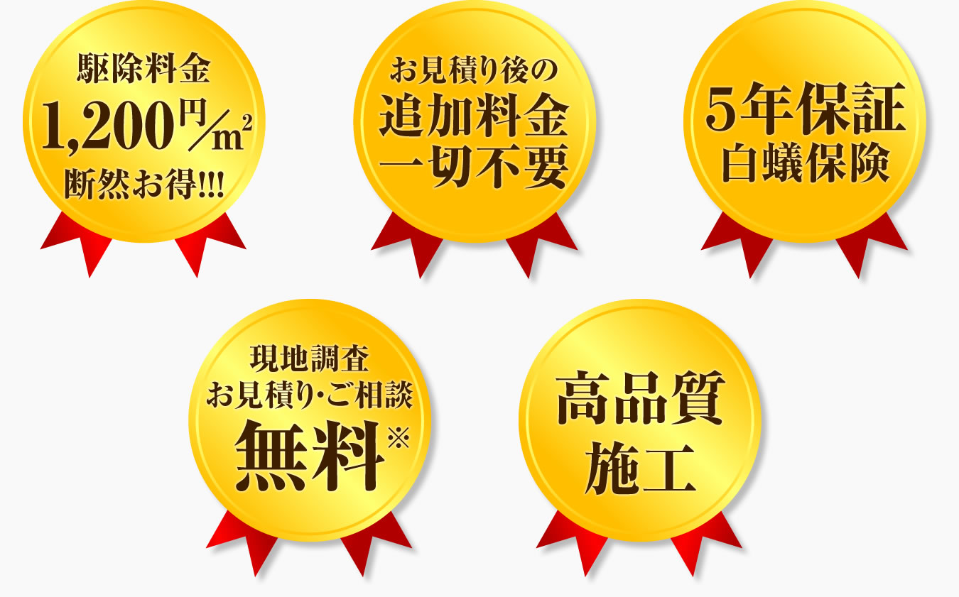 駆除料金1,200円/㎡　断然お得！ お見積り後の追加料金一切不要 ５年保証 現地調査お見積り・ご相談無料 高品質施工