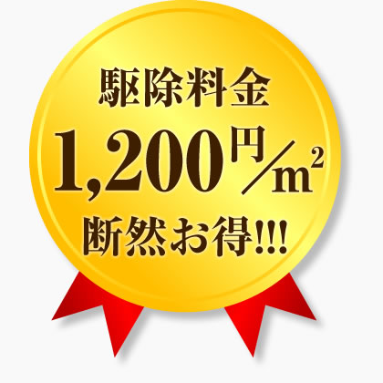 駆除料金1,200円/㎡　断然お得！