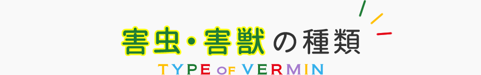 害虫害獣駆除・予防/VERMIN CONTROL
