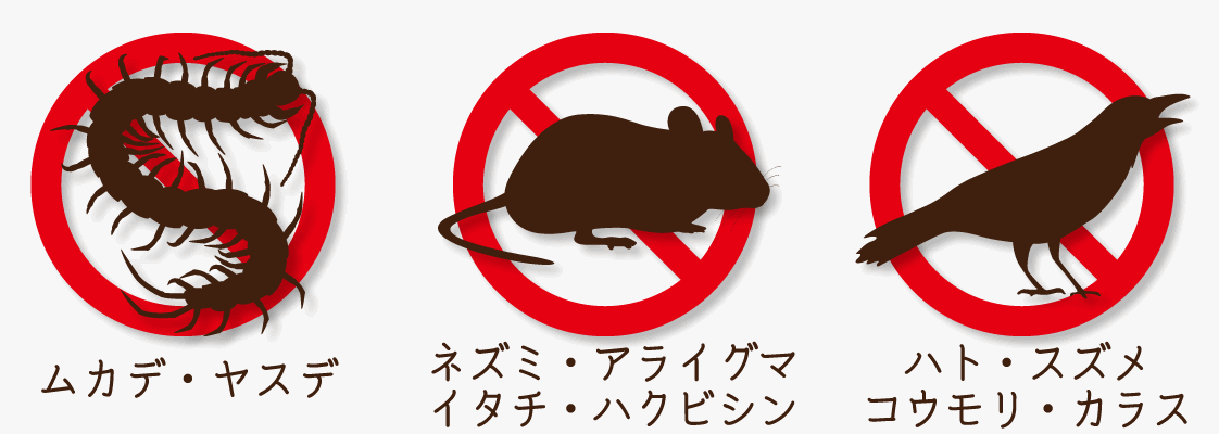 ムカデ・ヤスデ・ねずみ・鳥類