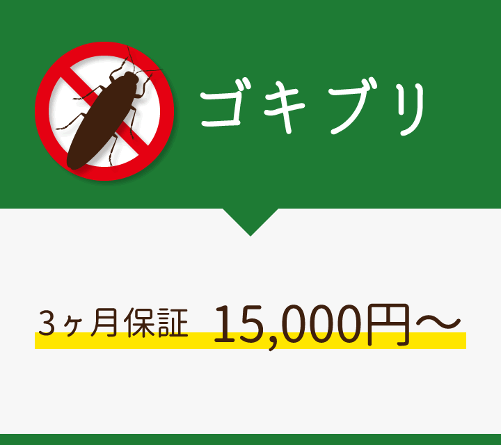 ゴキブリ/3ヶ月保証15,000円～