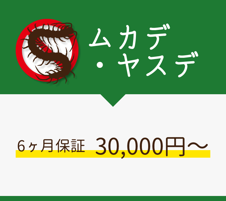ムカデ・ヤスデ/6ヶ月保証40,000円～