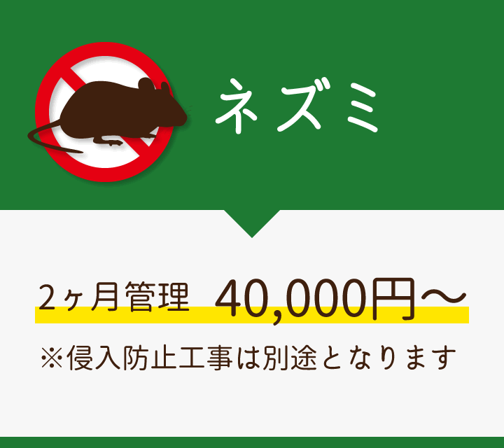 ネズミ/2か月管理40,000円～※侵入防止工事は別途となります