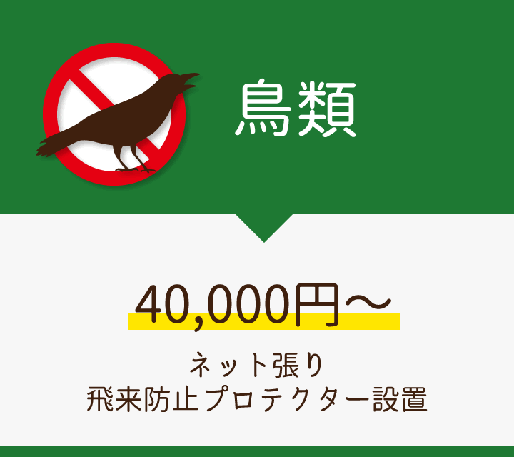 鳥類/40,000円～※侵入防止工事は別途となります