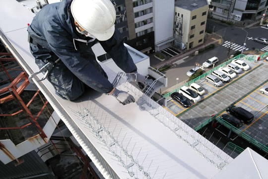 鳩飛来防止工事 写真